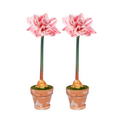 Potted Amaryllis Flowers, Set of 2
