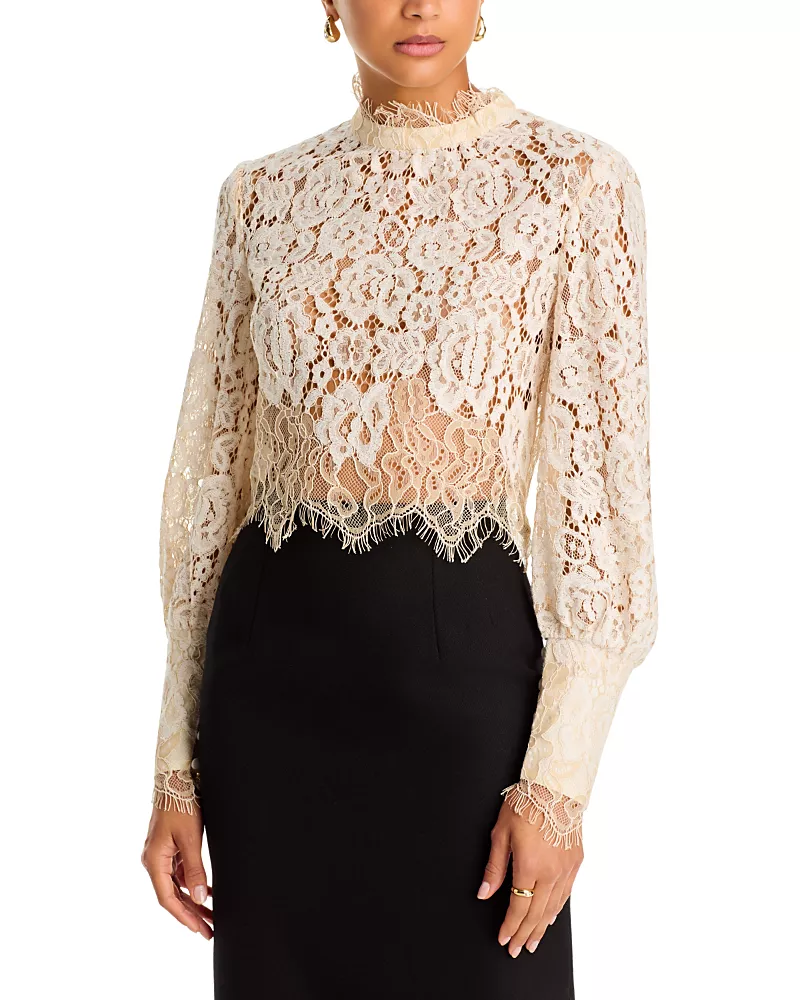 Bardot Georgia Mock Neck Long Sleeve Lace Top