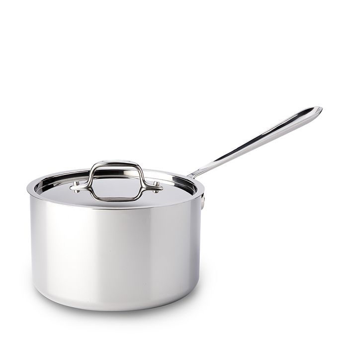 All-Clad Stainless Steel Saucepan & Reviews
