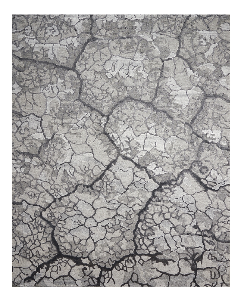 Nourison Divine Div02 Area Rug, 5'6 X 7'5 In Charcoal