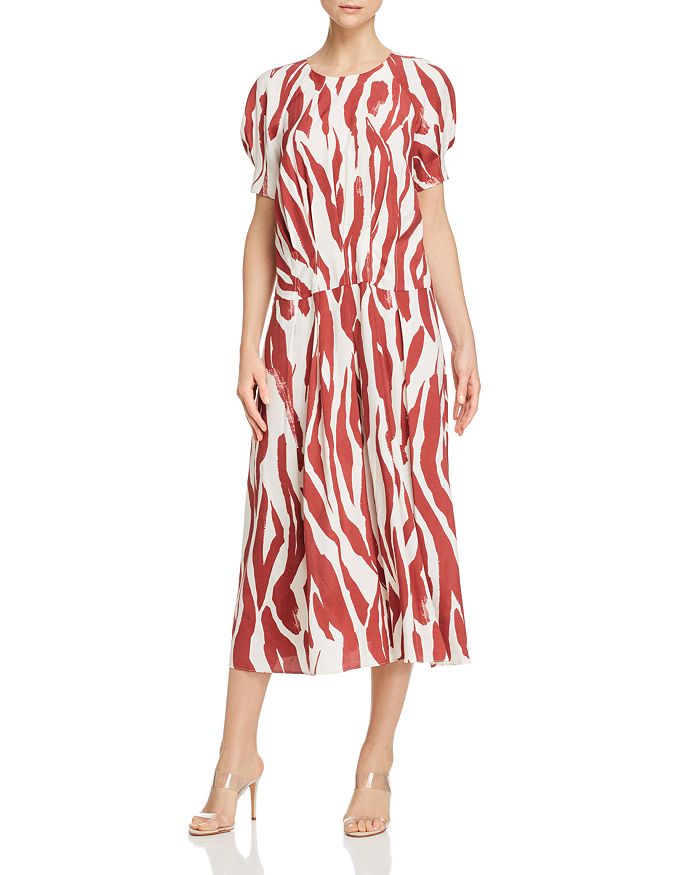 Anine Bing Dahlia Maxi Dress In Zebra