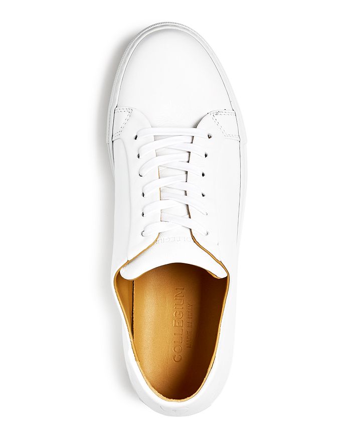 collegium sneakers