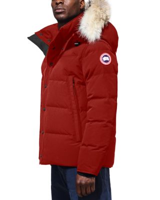 canada goose red maple