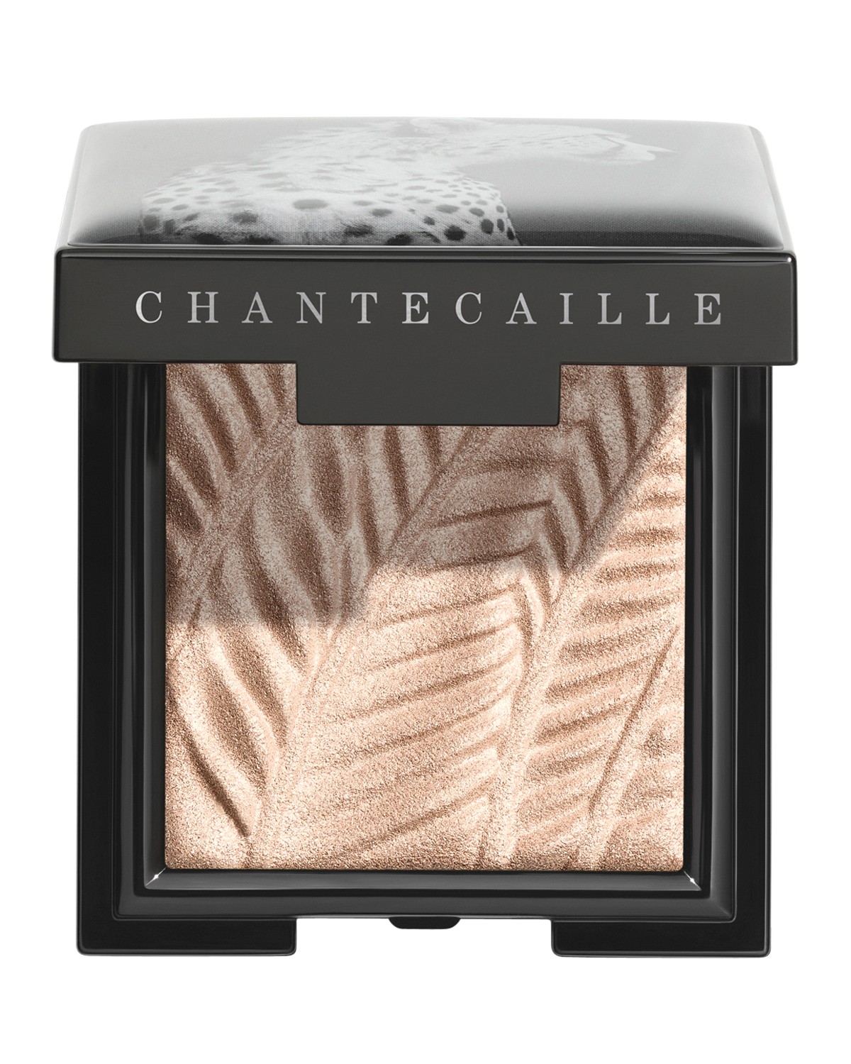 Luminescent Eye Shade