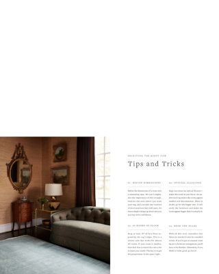 Viera VR-06 Area Rug Collection