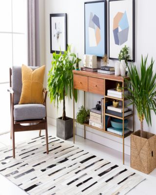 Trail TRL-1120 Area Rug Collection