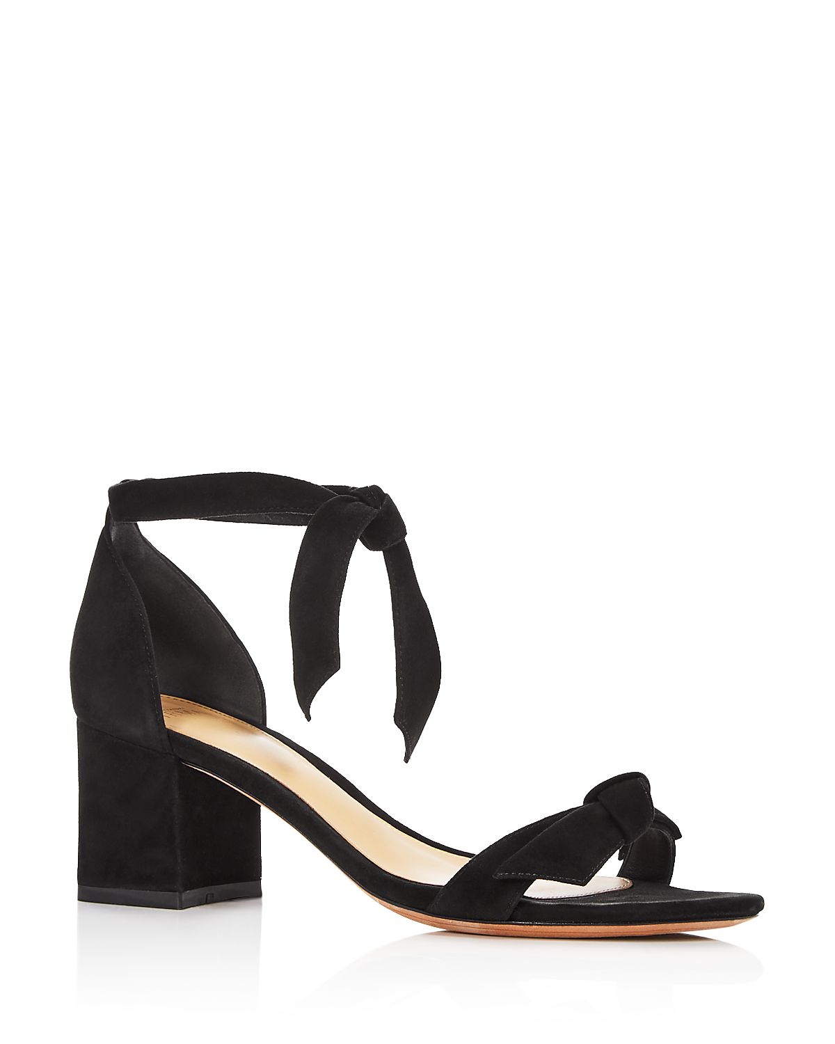 Alexandre Birman Women's Clarita Ankle Tie Sandals