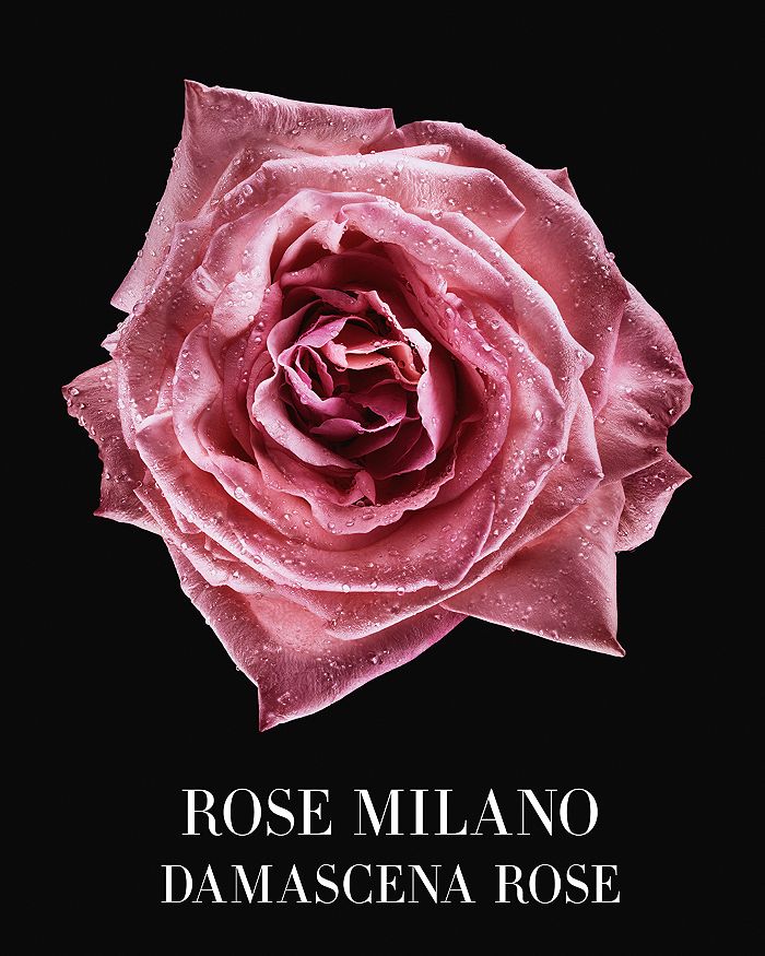 Shop Armani Collezioni Rose Milano 3.4 Oz.