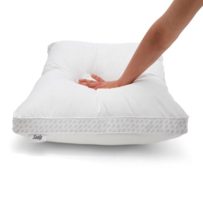 sealy down pillow