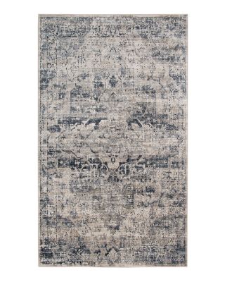 Amer Rugs Belmont Blm-6 Area Rug, 7'11 x 9'10