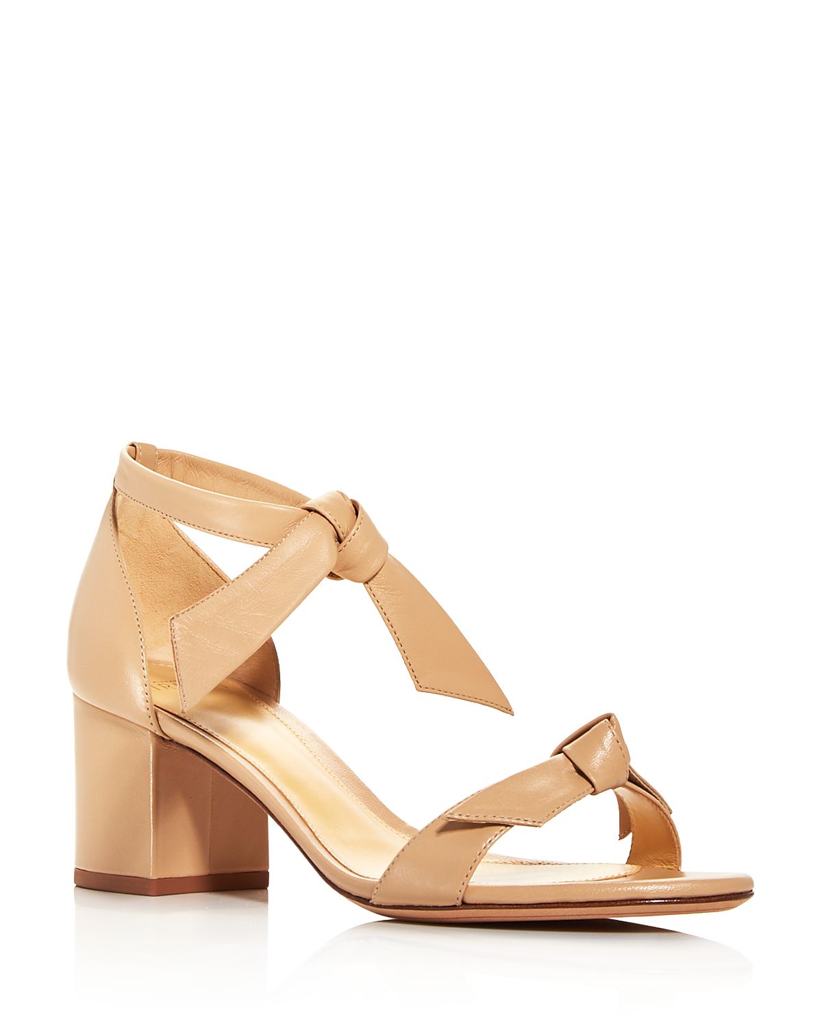 Alexandre Birman Women's Clarita Ankle Tie Block Heel Sandals