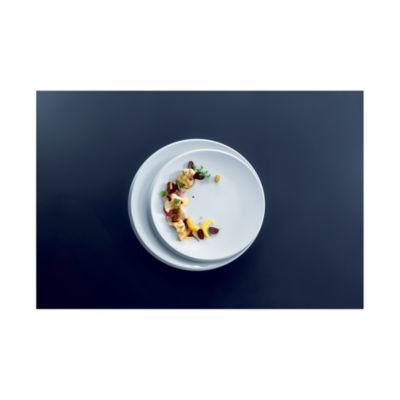 New Moon 4 Piece Place Setting 