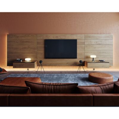 Phantom II 98 dB Wireless Speaker