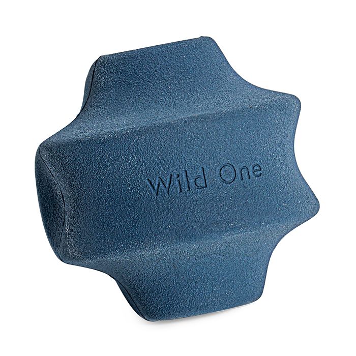 Wild One Twist Toss Dog Toy In Blue