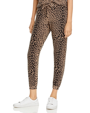 Chaser Leopard Print Joggers - 100% Exclusive