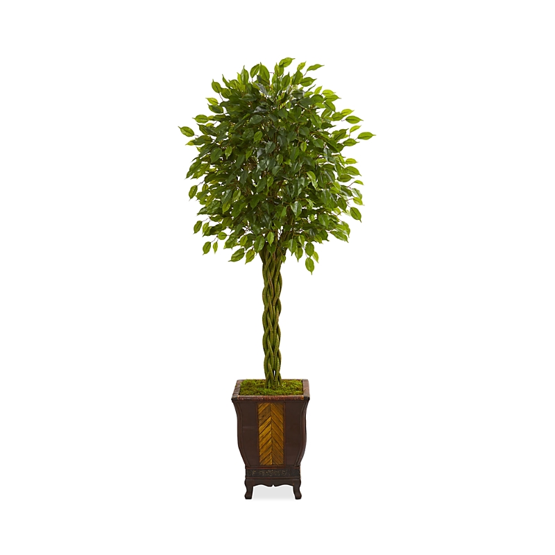 NEARLY NATURAL ARTIFICIAL BRAIDED FICUS TREE 5715