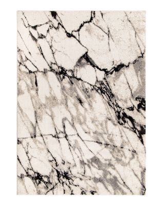 Palmetto Living Orian Adagio Great Falls Area Rug, 6'5 x 9'6