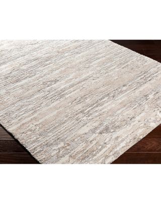 Venice VNE-2301 Area Rug, 3'11" x 5'7"