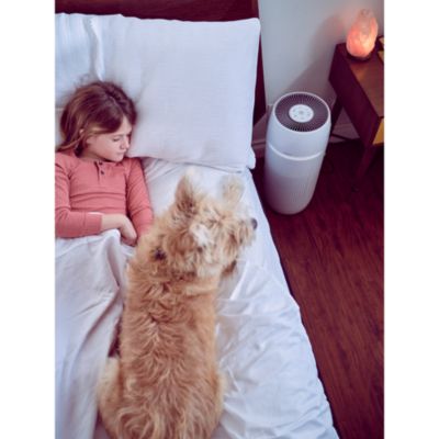 TotalClean PetPlus 5-in-1 Tower Air Purifier