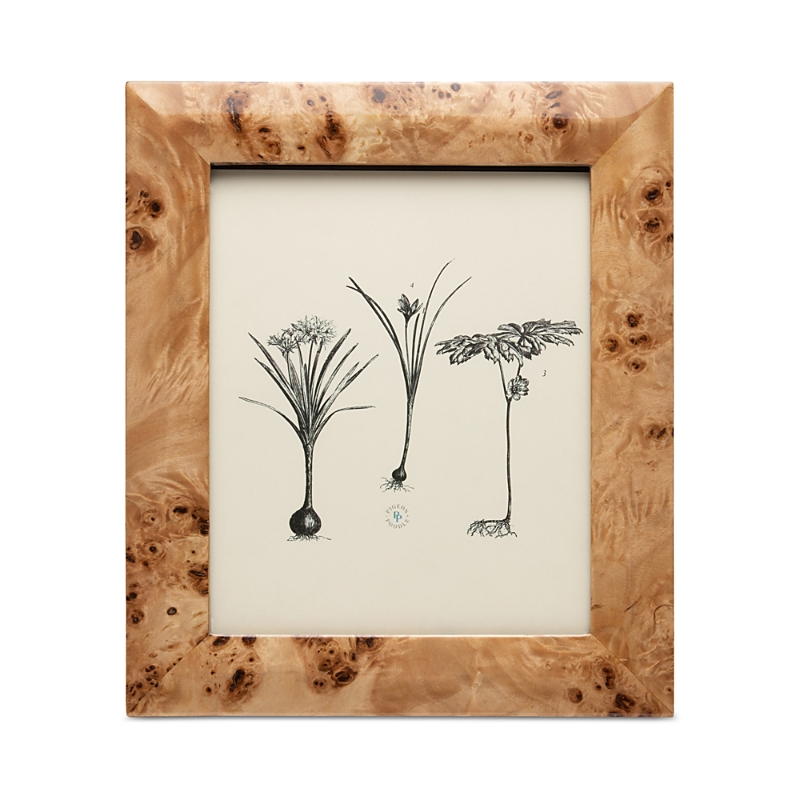 Pigeon & Poodle Narvik Dark Brown Burl Frame