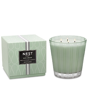 Nest Fragrances Wild Mint & Eucalyptus Luxury Candle