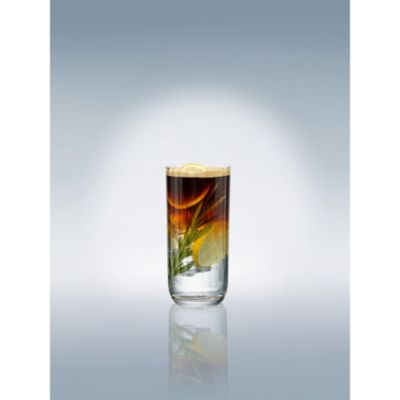 Rose Garden Highball/Tumbler, Set of 4
