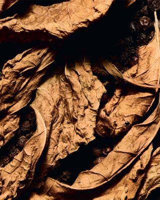 Tuxedo - Le Vestiaire des Parfums 4.2 oz.