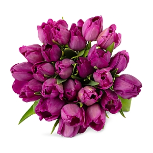 Bloomsybox Purple Pop Tulips