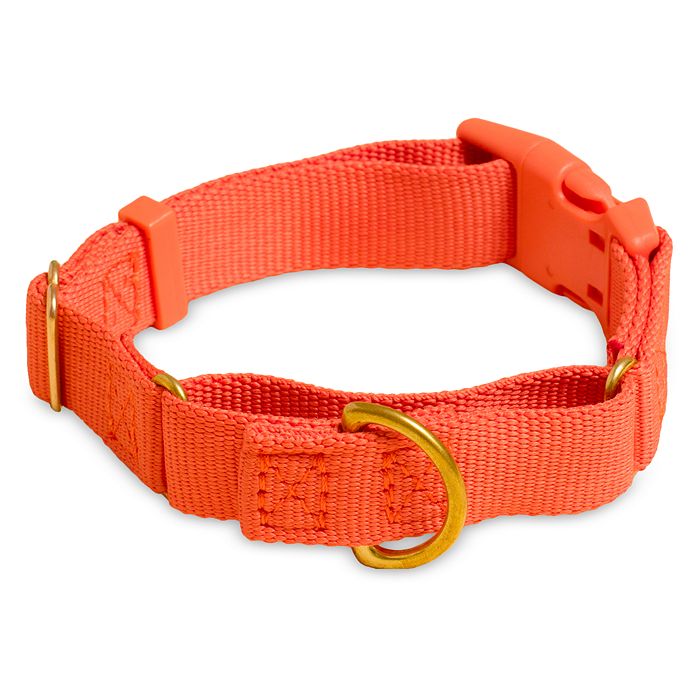 Awoo Pets Marty Collar Bloomingdale's