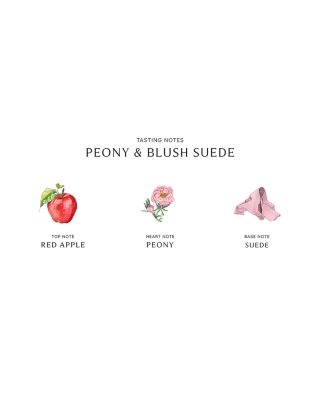 Peony &amp; Blush Suede Scent Surround™ Diffuser