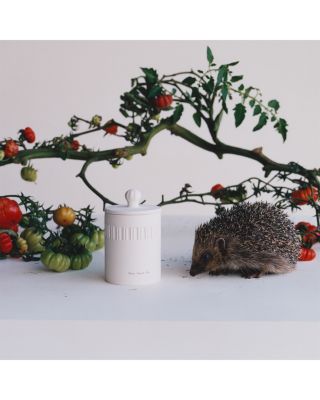 Green Tomato Vine Candle