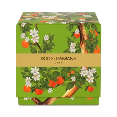 Sicilian Orange Scented Candle 8.81 oz.