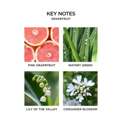 Wall Diffuser Refill, Grapefruit