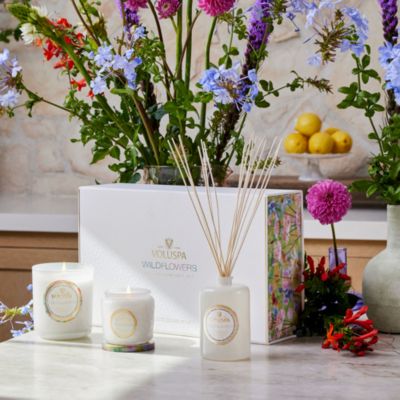 Wildflowers Superbloom Gift Set