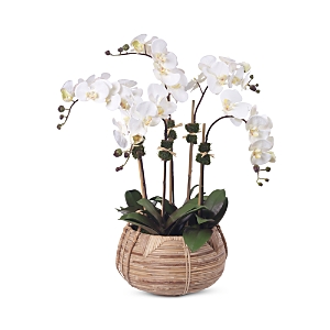 Diane James Home Faux Orchids In Cane Basket In White