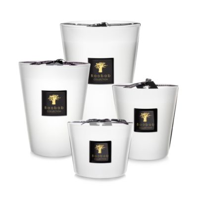 Baobab Collection - Les Prestigieuses Pierre de Lune Candle