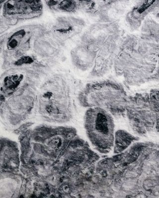 Kikiamo KK14 Round Area Rug, 8' x 8'