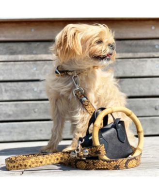 Short Sasha Leather Dog Leash with Bamboo Handle