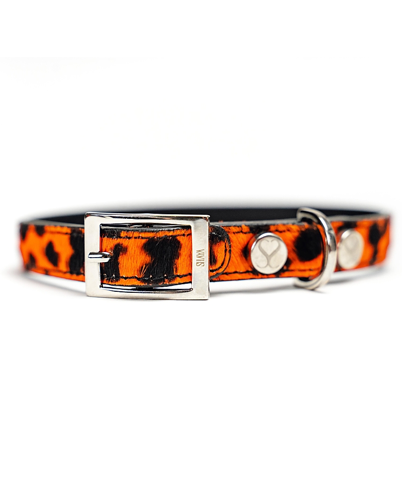 Shaya Pets Small Red Leopard Leather Adjustable Dog Collar