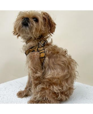 Embossed Leather Adjustable Dog Harness