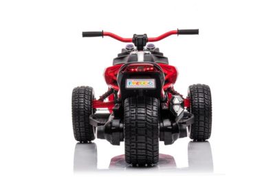 3 Wheel 24V 2-Seater Motorcycle Kids Ride on