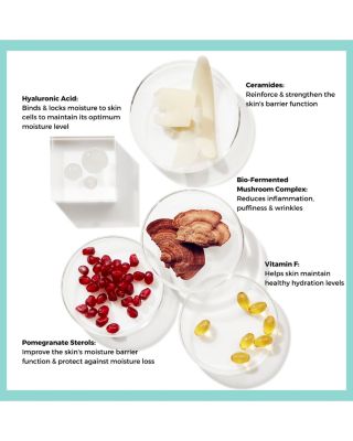 Probiotic 24HR Moisture Boost Cream Moisturizer 1 oz.