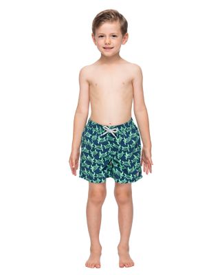 Boys' Turtle Swim Trunks - Little Kid, Big Kid