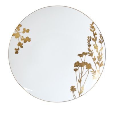 Vegetal Or Assorted Dinner Plates, Set of 4 