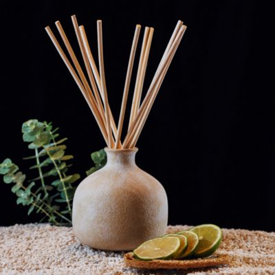 Focus, Eucalyptus &amp; Lime Large Diffuser