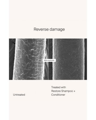 Restore Shampoo 8 oz.