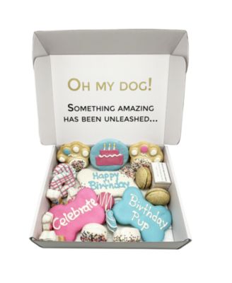 Happy Birthday Themed Dog Treats Gift Box