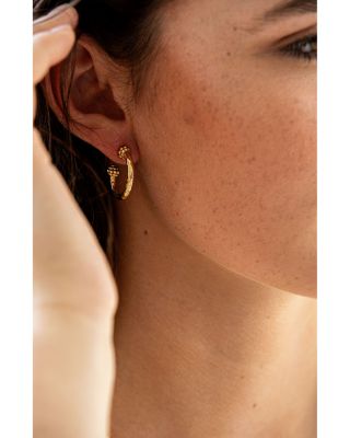 Berry Slice Small Hoop Earrings in 18K Gold Plated 