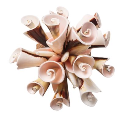 Seashell Burst Napkin Ring in Ivory and Natural