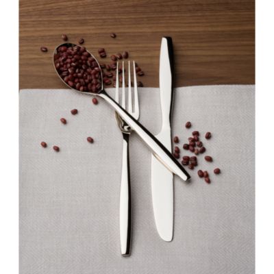 Aidan Flatware 5 Piece Place Setting